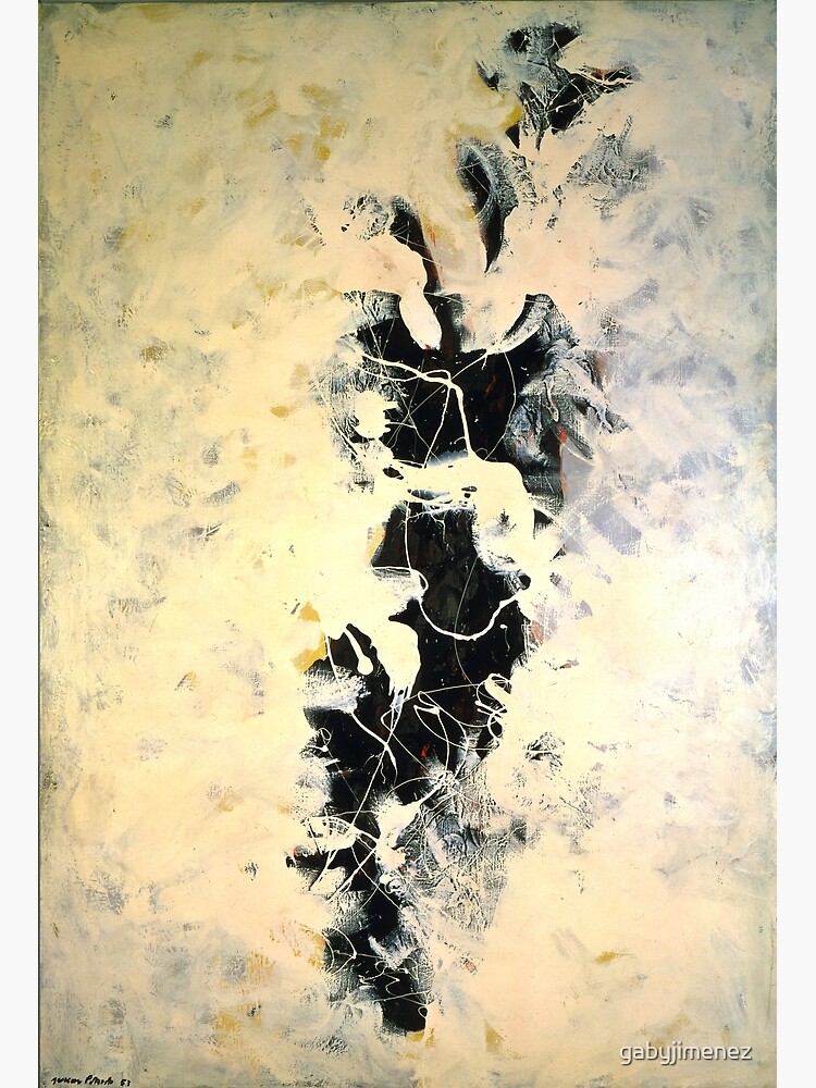 JACKSON POLLOCK、The Deep、希少画集画、新品額装付 JACKSON POLLOCK、The Deep、希少画集画、新品額装付 JACKSON