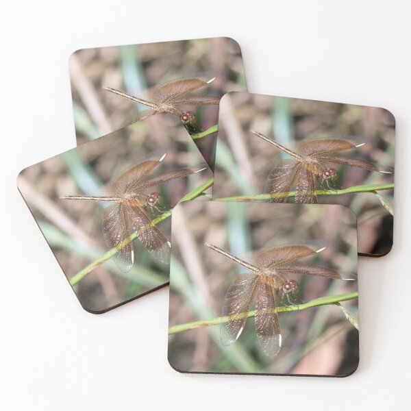 Item preview, Painted Grasshawk Dragonfly (Neurothemis stigmatizans stigmatizans). designed and sold by Connie Pinson.