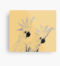 Sulphur Crested Cockatoos Black and White Metal Print