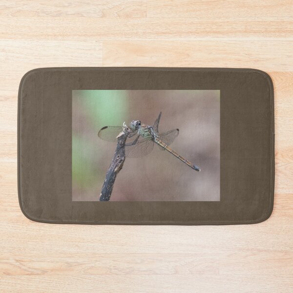 Item preview, Female Australasian Slimwing Dragonfly (Lathrecista asiatica festa).  designed and sold by Connie Pinson.