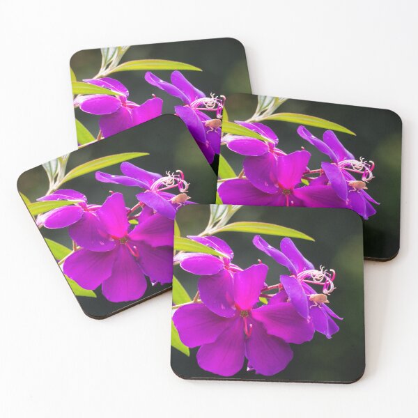 Item preview, Tibouchina flowers in bloom designed and sold by Connie Pinson.