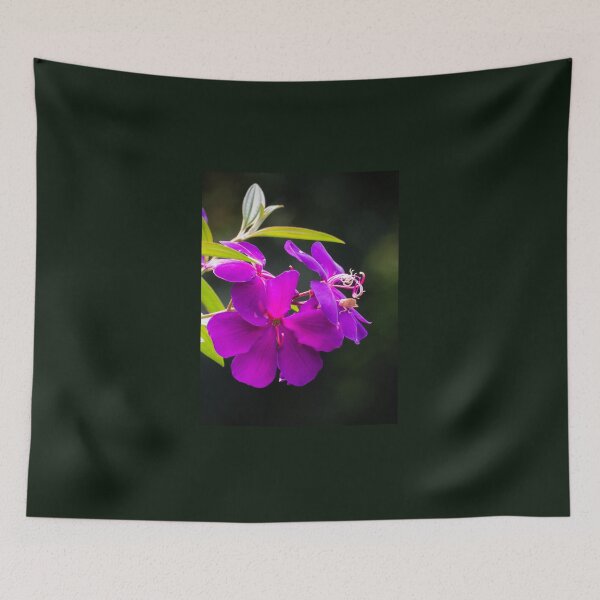 Item preview, Tibouchina flowers in bloom designed and sold by Connie Pinson.