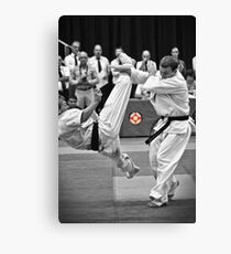 Fight Canvas Print