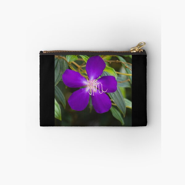 Item preview, Tibouchina flowers in bloom  designed and sold by Connie Pinson.