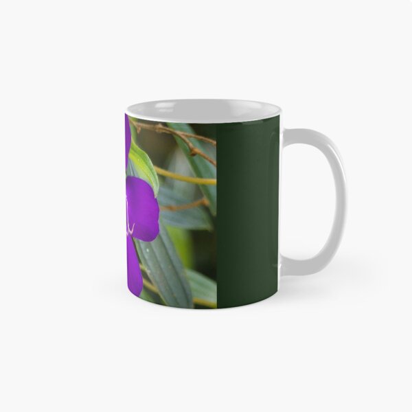 Item preview, Tibouchina flowers in bloom  designed and sold by Connie Pinson.