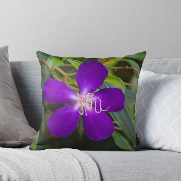 Item preview, Tibouchina flowers in bloom  designed and sold by Connie Pinson.