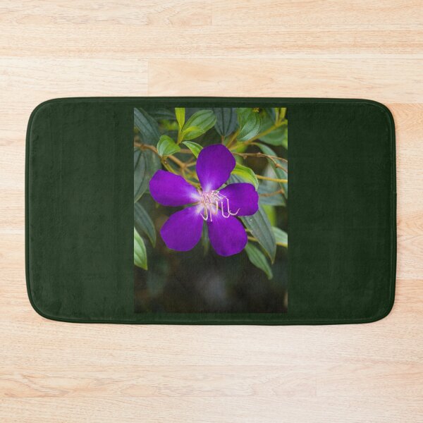 Item preview, Tibouchina flowers in bloom  designed and sold by Connie Pinson.
