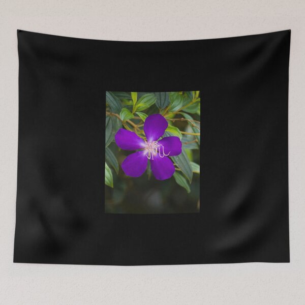 Item preview, Tibouchina flowers in bloom  designed and sold by Connie Pinson.