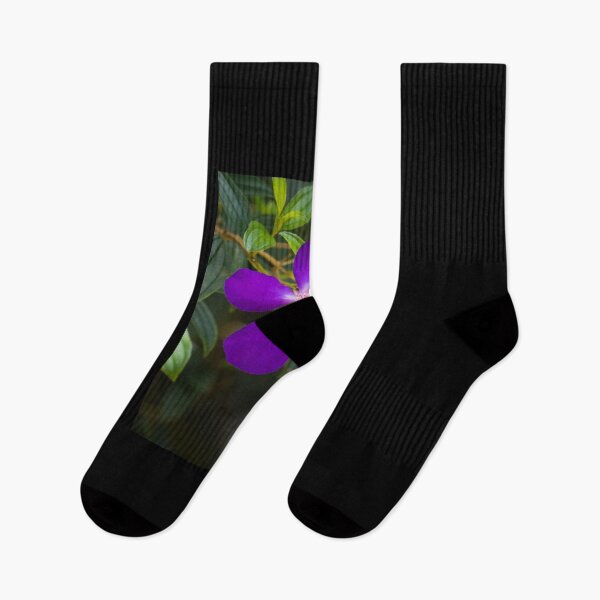 Item preview, Tibouchina flowers in bloom  designed and sold by Connie Pinson.