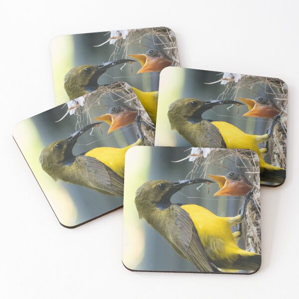Item preview, Olive-backed Sunbird (Cinnyris jugularis) feeding chick in nest designed and sold by Connie Pinson.