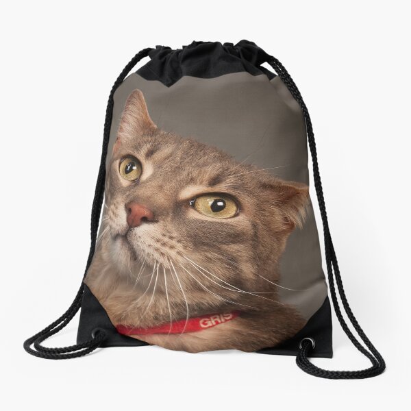 Gris Drawstring Bag