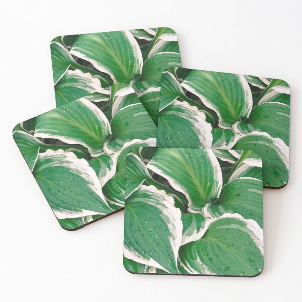 Item preview, Hosta Leaves In The Rain 2 designed and sold by Robert Alsop.