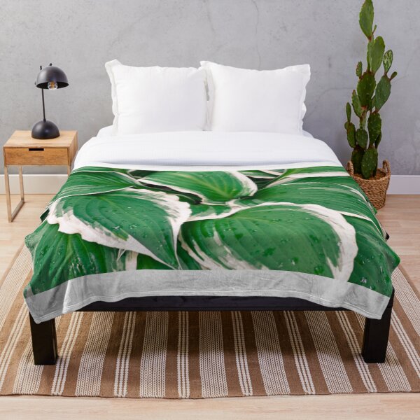 Item preview, Hosta deja en la lluvia 2 designed and sold by Robert Alsop.
