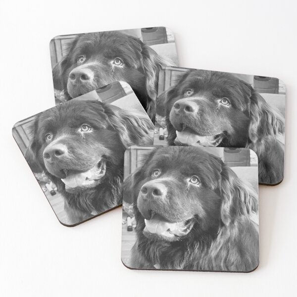 Item preview, Terranova Perro Newfie designed and sold by Aliciamichele.
