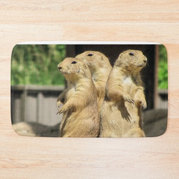 Item preview, Three Amigos designed and sold by shutterbug2010.