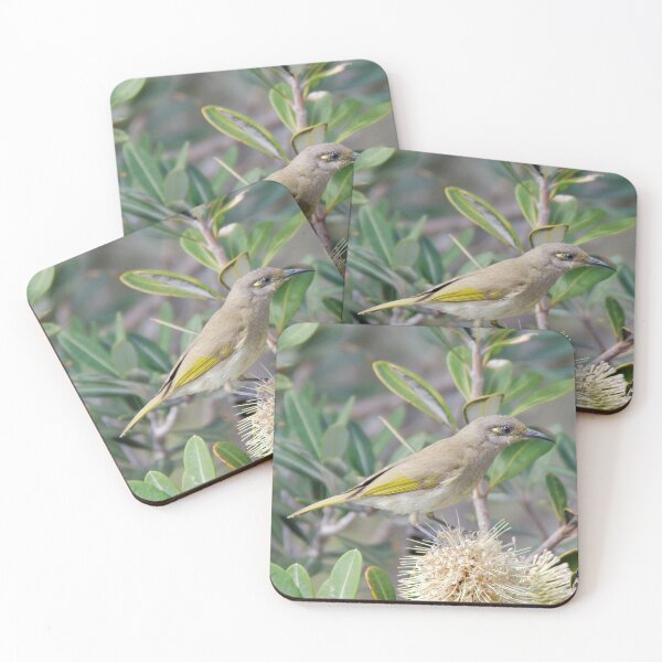 Artikelvorschau, HONEYEATER ~ SC ~ Brown Honeyeater 8uoyESxa von David Irwin 031019 entworfen und verkauft von tasmanianartist.