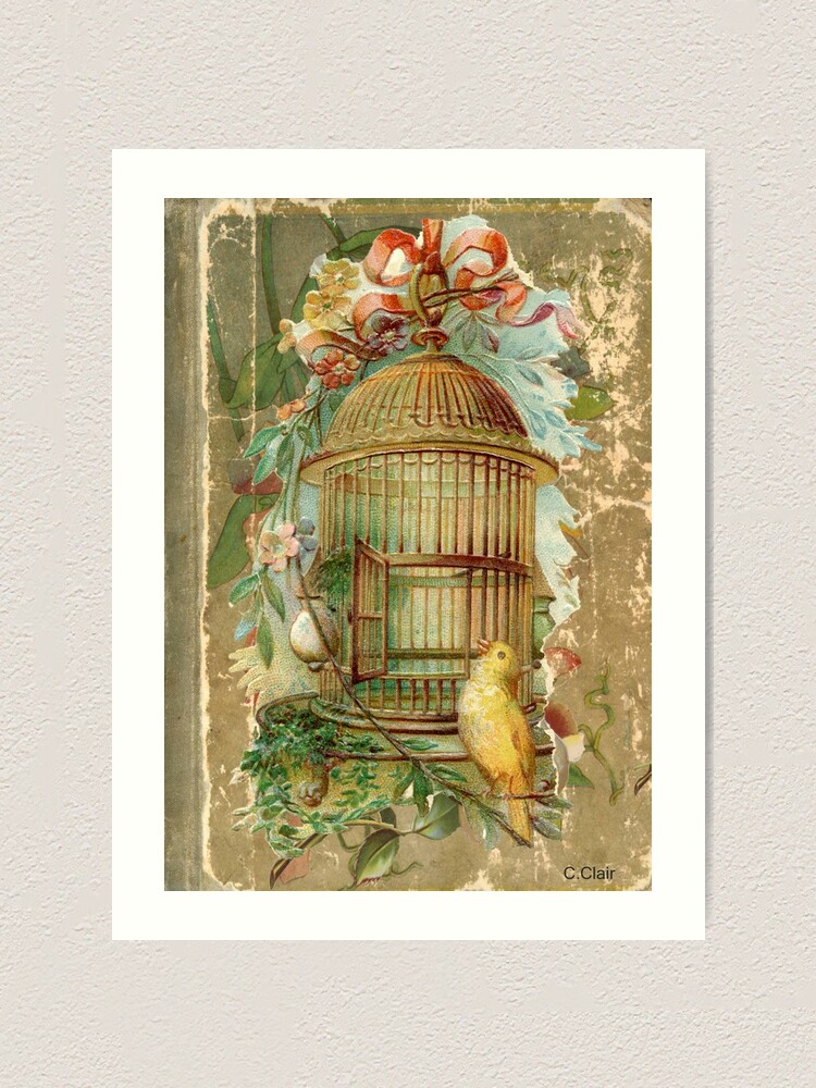 Large Gilded Gold Victorian Bird Cage Art Print for Sale by  designsbycclair