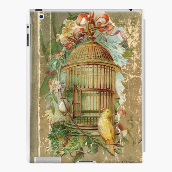 Lot - Three unusual Victorian bird prints in birdcage frames