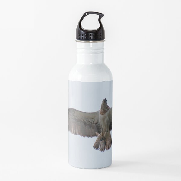 RAPTOR ~ SC ~ Eastern Osprey XLCFPHJ4 by David Irwin 031019 Water Bottle