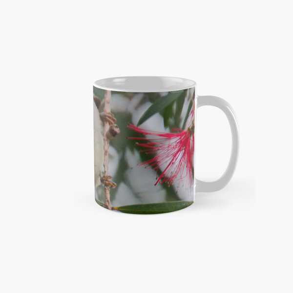 HONEYEATER ~ SC ~ Scarlet Honeyeater by David Irwin 031019 Classic Mug