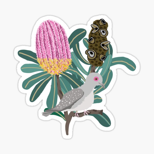Australian Native Banksia - Australiana decor - Australian Native Bird - Diamond Dove Sticker
