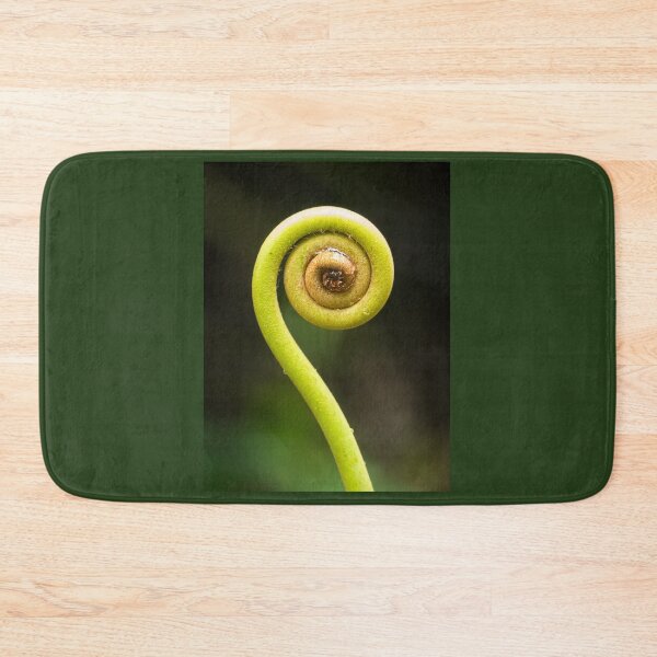 Item preview, Young Old World Forked fern (Dicranopteris linearis) unfurling. designed and sold by Connie Pinson.