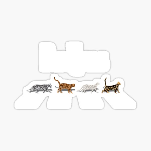 Item preview, The Bengals designed and sold by CCCDesign.