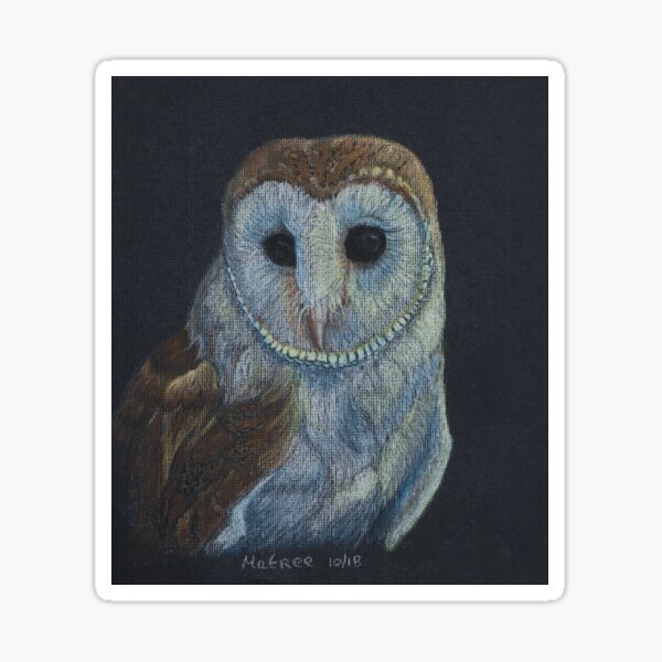 Owl 1 Sticker