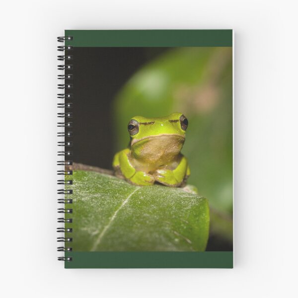 Item preview, Eastern Dwarf Tree Frog designed and sold by Connie Pinson.