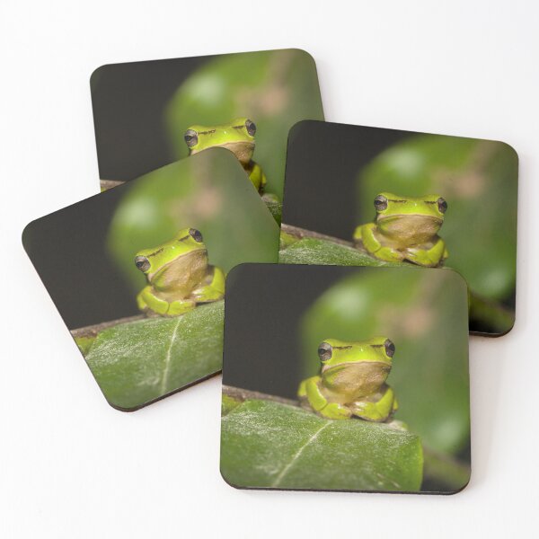 Item preview, Eastern Dwarf Tree Frog designed and sold by Connie Pinson.