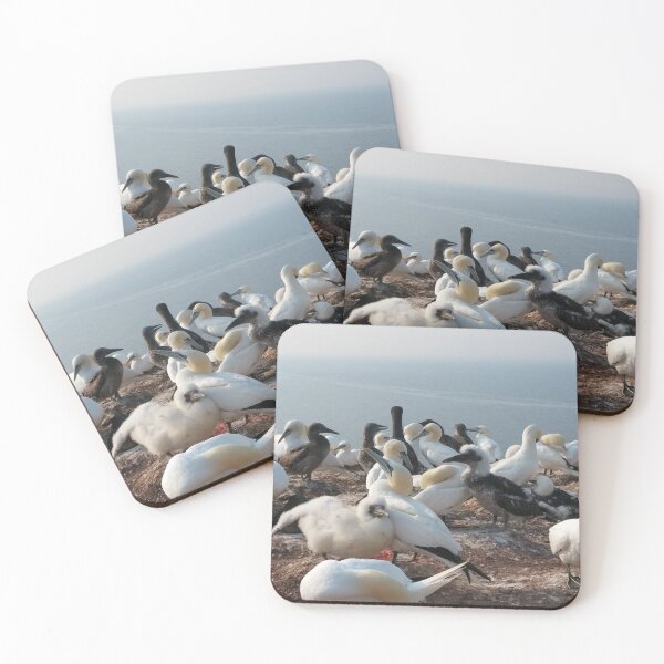 Item preview, Gannets with Kids at Helgoland designed and sold by gesa118.