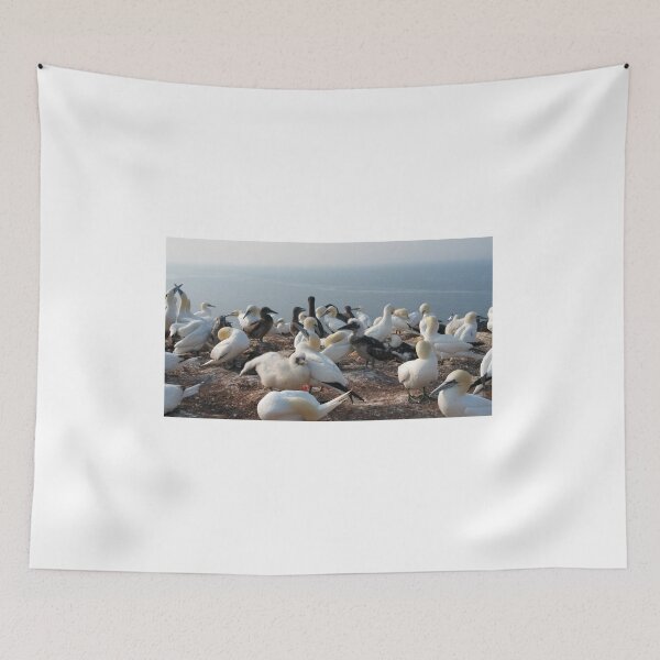 Item preview, Gannets with Kids at Helgoland designed and sold by gesa118.