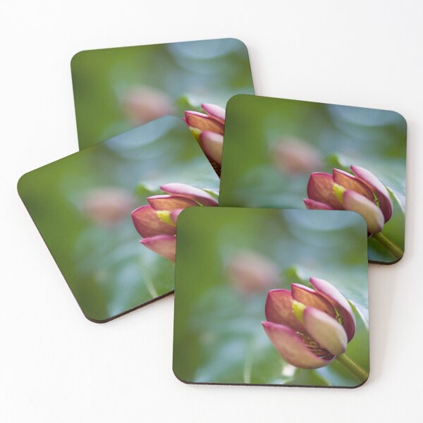 Item preview, Port Wine Magnolia Flower designed and sold by Connie Pinson.