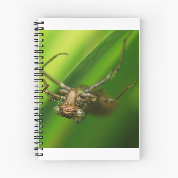 Item preview, The dragonfly nymph emerging from the depths.  designed and sold by miradorpictures.