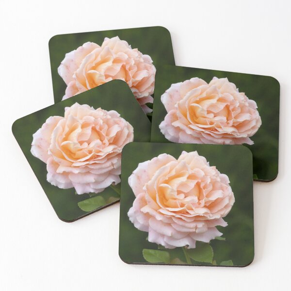 Artikelvorschau, Apricot Rose entworfen und verkauft von Connie Pinson.