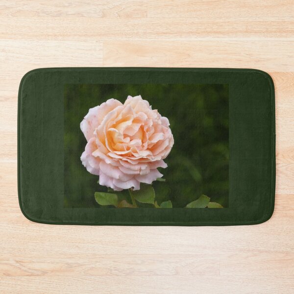 Artikelvorschau, Apricot Rose entworfen und verkauft von Connie Pinson.