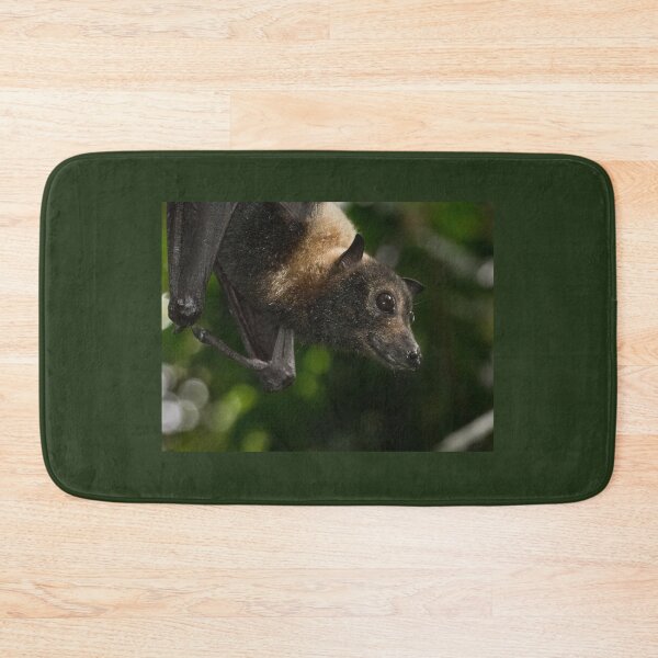 Item preview, Spectacled Flying-fox (Pteropus conspicillatus) designed and sold by Connie Pinson.