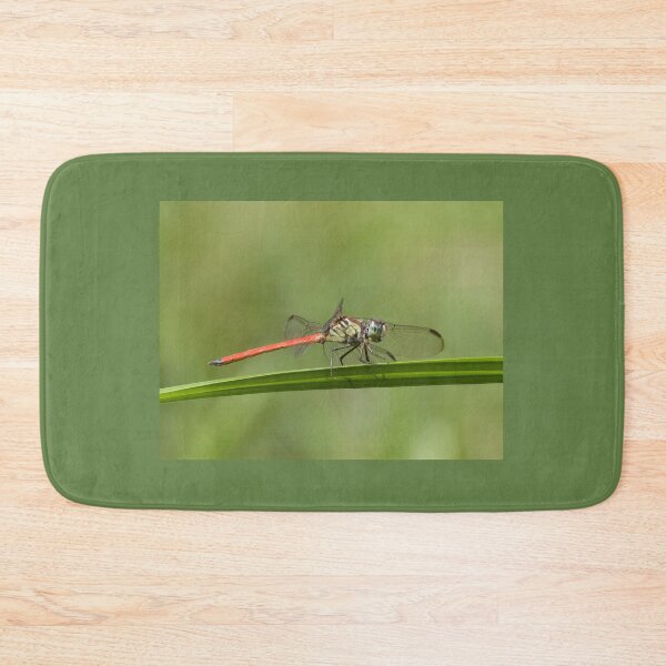 Item preview, Australasian Slimwing Dragonfly (Lathrecista asiatica festa) - Male designed and sold by Connie Pinson.