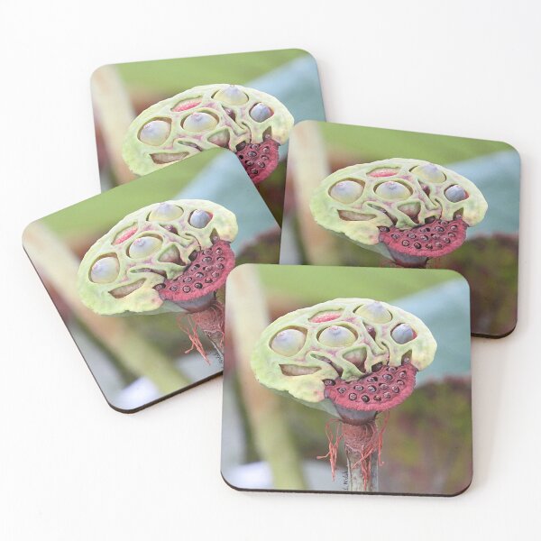 Item preview, Partially Dried Lotus Seed Pod  designed and sold by Linda Walsh.