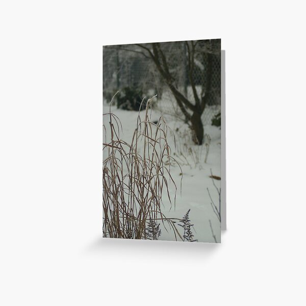 Country Garden in Winter Greeting Card