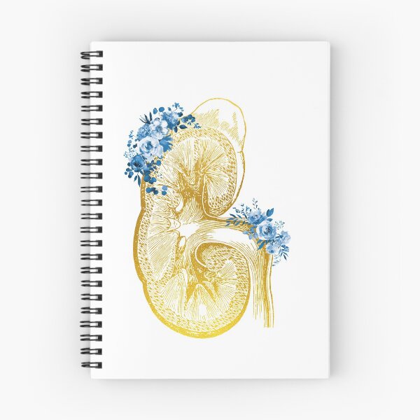 Item preview, Kidney section  designed and sold by Liededrom..