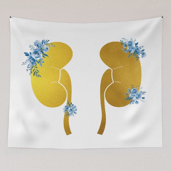 Item preview, The Kidneys anatomy designed and sold by Liededrom..