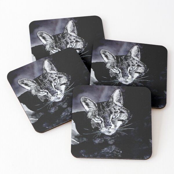 Item preview, Cat - Clear Obscure designed and sold by joelle Guillaume.