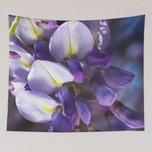 Item preview, Wisteria Flowers and Buds designed and sold by Joy Watson - Natural Light Photography .