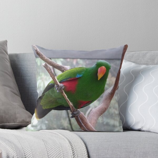 Item preview, Australian Native Male Eclectus Parrot, Kuranda Bird Park. Cairns, Nth. Queensland. designed and sold by RitaBlom.