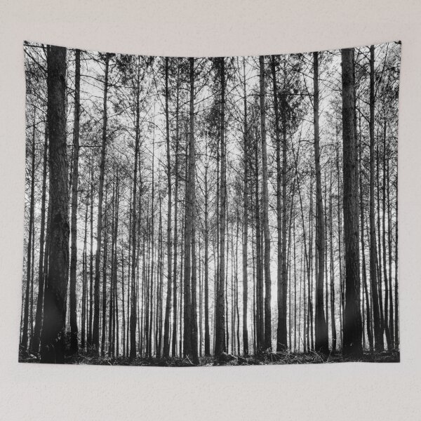 Item preview, trees in forest landscape - black and white nature photography designed and sold by ohaniki.