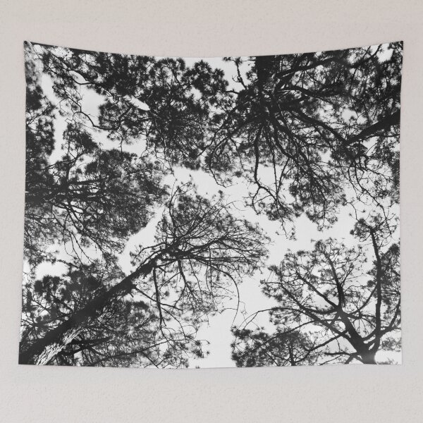 Item preview, Forest landscape photography trees - black and white 1x1 designed and sold by ohaniki.