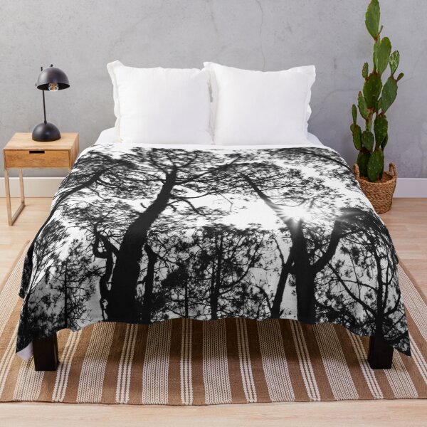 Item preview, Trees and sky in sunlight- forest landscape - nature photography  designed and sold by ohaniki.