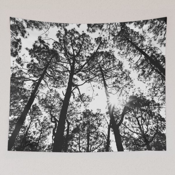 Item preview, Trees and sky in sunlight- forest landscape - nature photography  designed and sold by ohaniki.
