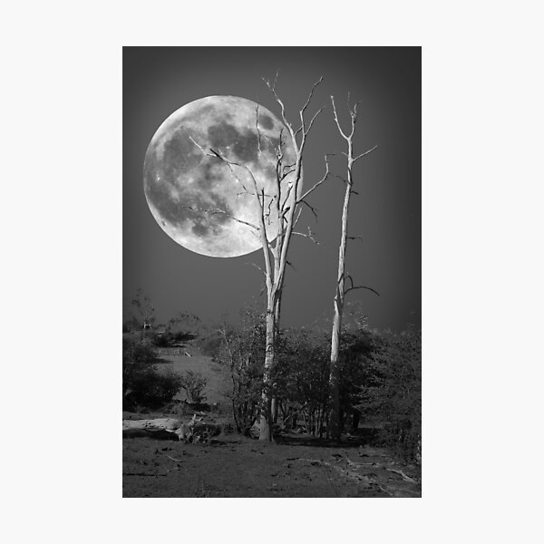 Item preview, What Stirs beneath a Full Moon designed and sold by John Bullen.